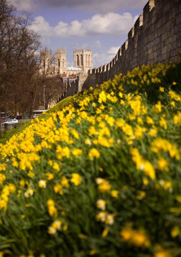 Shambles Suites In The Centre Of York, Sleeps 16 외부 사진